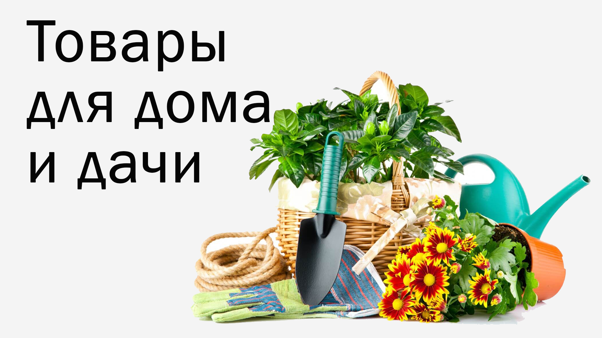 *���������* �������� ����������� ������� ��� ����, ����, ���� � ����. ������� �����. �������� �� ���������. ���������. ���������