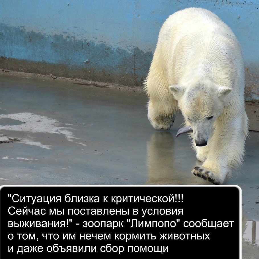 ������, ��������� �������� � �������!!!!