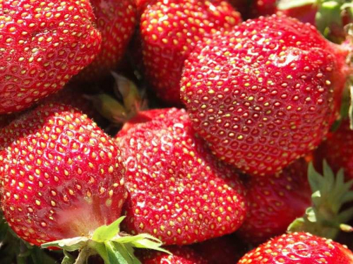 ���� �������. ��������� � ������ 28. (� ��� �� ���������� � ������������ ������ ���) �� 30.04.