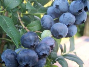 �������� ���� �� 29.04.  ������� �������� � ������� �� ����������.