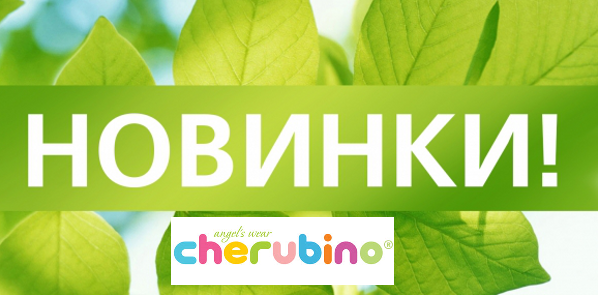 ��� ������� �������� ����������! ����� 100 ������� � ������� �������� ��������� Che*r�*bin0.