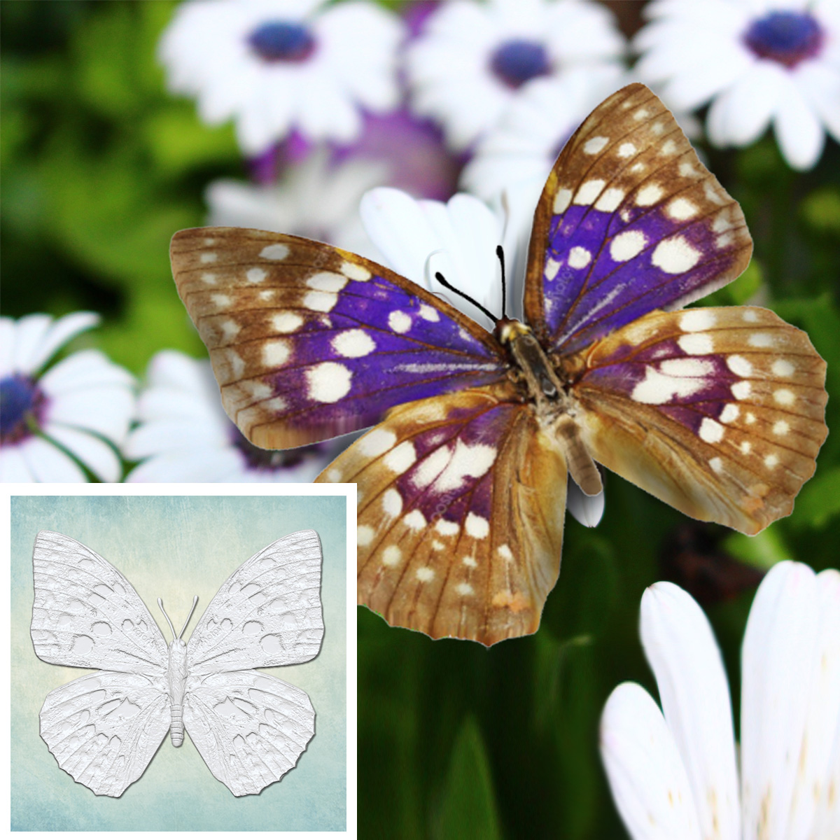  ���� "������� 1" (XS) ARTMD1197