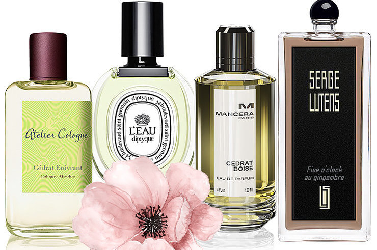  ���� �������. ������ ������������ ����������: �������, ���������, ������, ������ �� ����� ������� ����� � � ������ �������.  