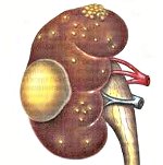 ������ �����������