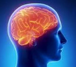 ���� ��������� �����