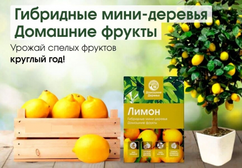 ���� �� 10.05.������ ��� ����������� ������, ����, ������, ���� ��������. �����-1. 