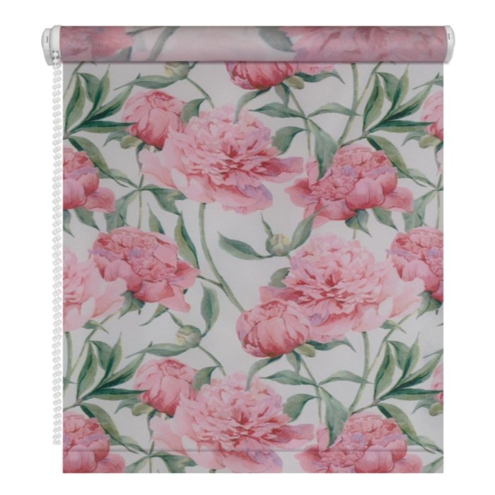 ���� �� 17.05. ���� ��������. ������� �����, ���������, ����, �������� �����, ���������, �����, ���, ���������, ��������, ������, �������, ��������� ��� �����.