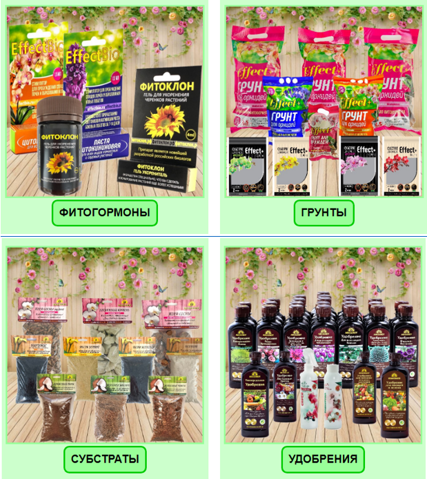 �ӣ ��� �������! � �� ������ - ���������, �����, �����, ��������, ���. ����� ������� �� ��������� ����� - ������������� ����� � ���� ��������. ����� �������! 