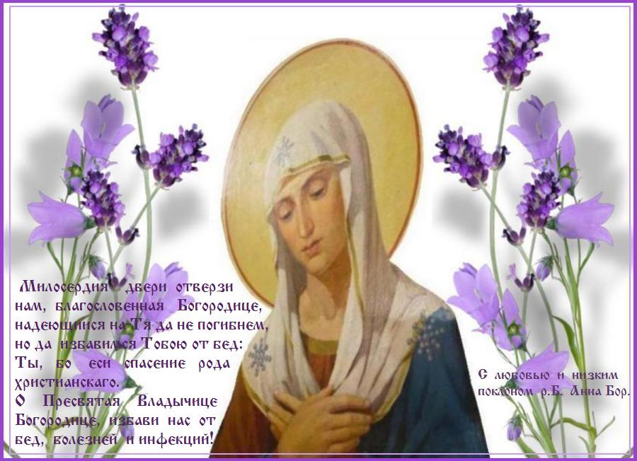 ���������  ����������,  �����  ��� !