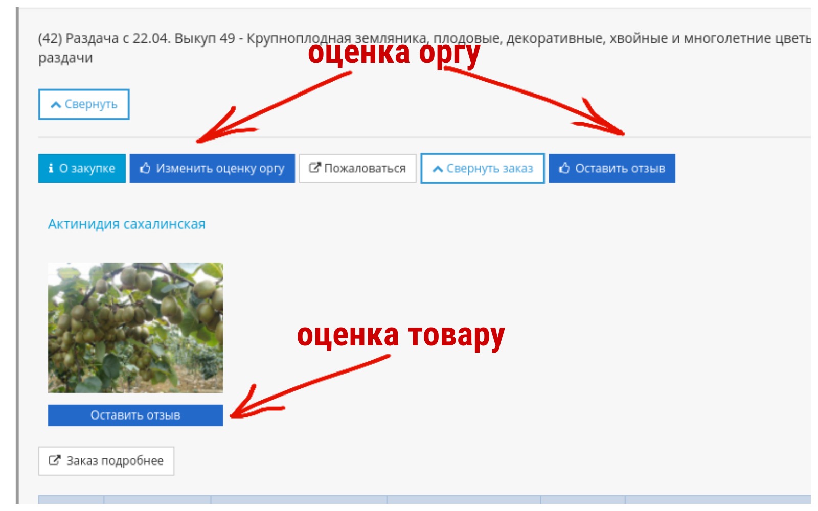 ��� ������� ������ ���� � ��������� ������ �� �����. �����!