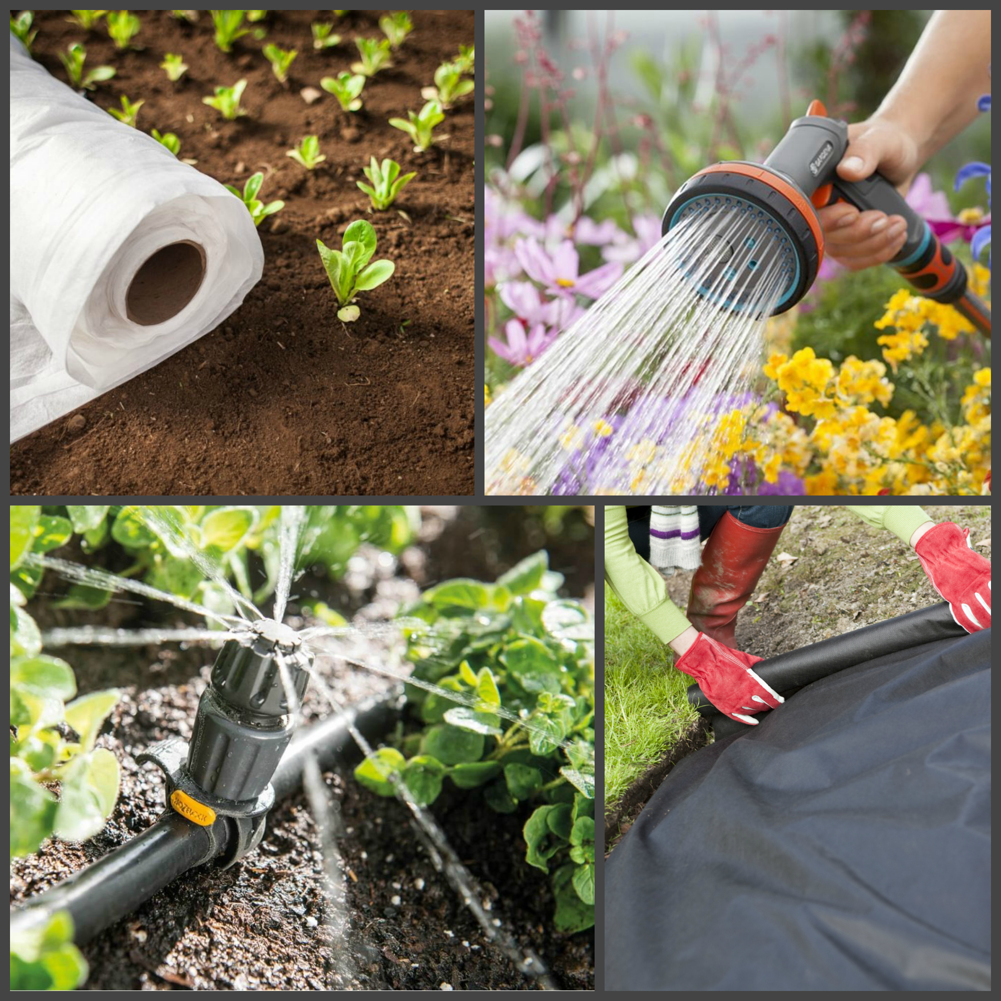 ���� ������� �� 20.05. ������� ��������. ��� ��� ������ ���� � �������. �������� ��������