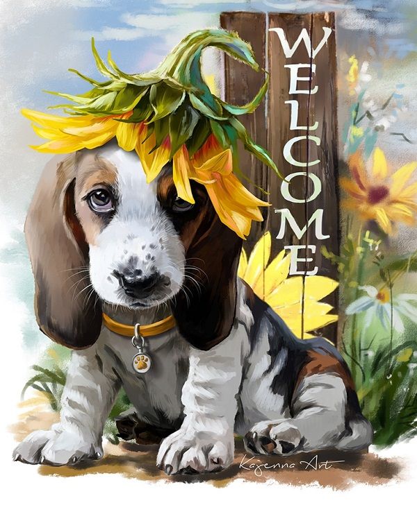 �������-��������� �� �������! �������� �������, ��������, ������ ��� �����. �������� ������. ������ ����.