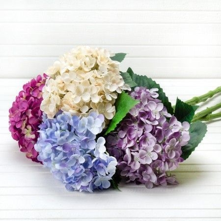 �� ���������� ����� ����������� �� ������������