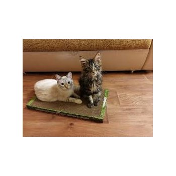 [b]���� �������.���������� �������. ����������� �������� ��� �����, ������� � �����. ������� ���� ������� � ���������� �������, �������, ������.������� - �������� ��� ���������� ������� 