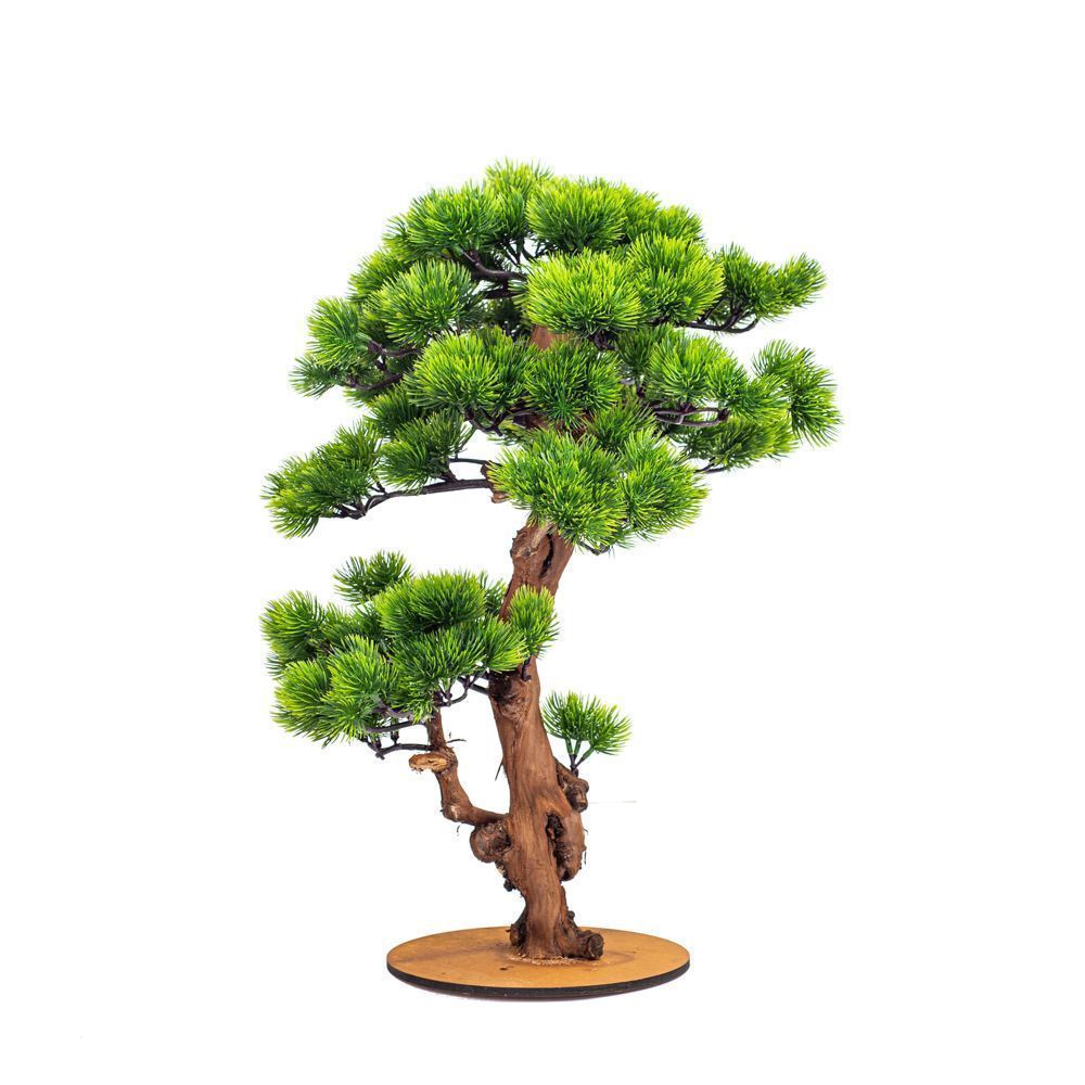 ��������� � ����� ����, �������