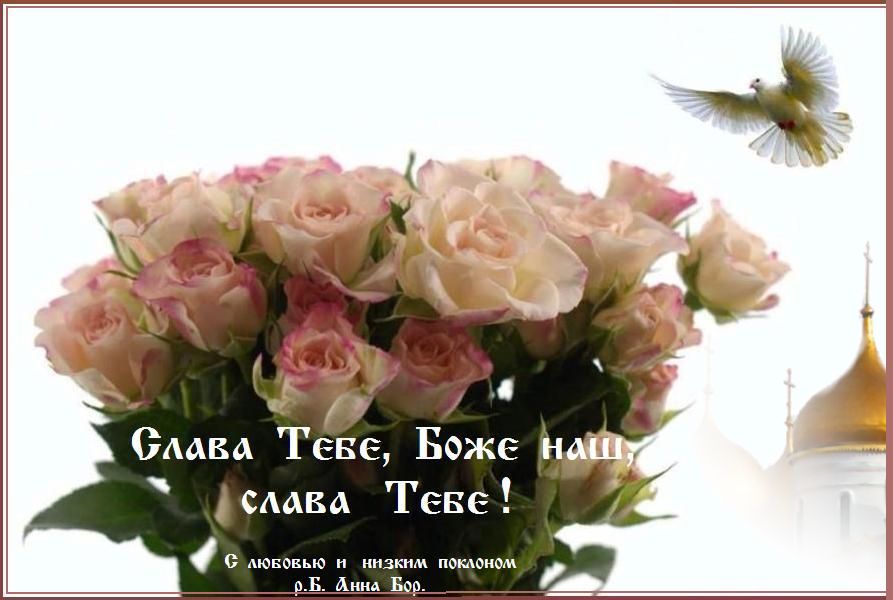 �����  ����,���� ���, ����� ���� !