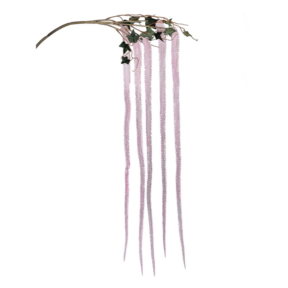 ���� ������! ������������ �� ��������� ���������!