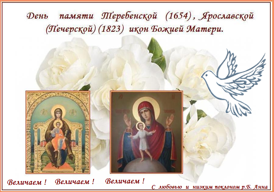 ������  �  ��������������  ���������  ���������� !