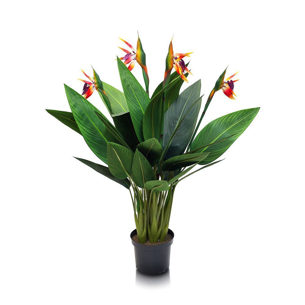 � � ��� ���� 