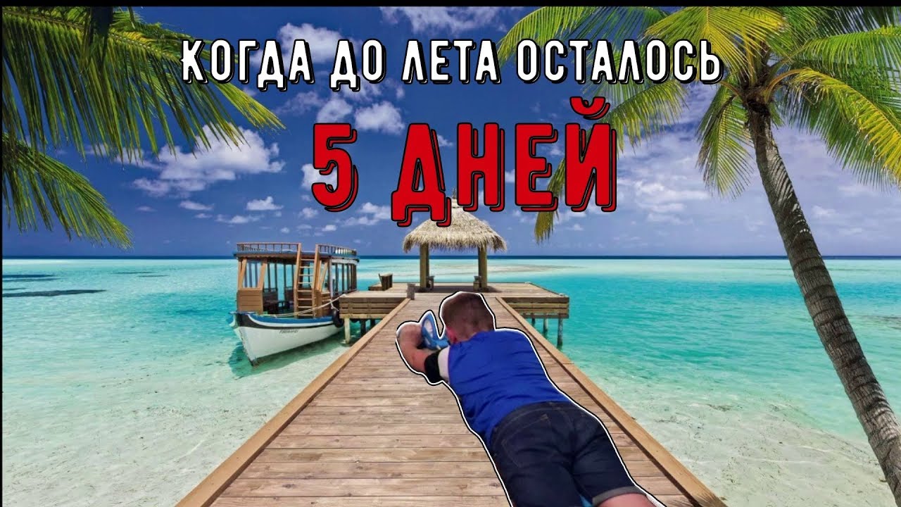 ��� �����