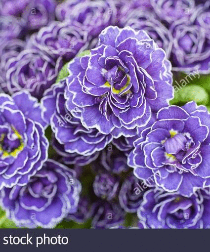 ��� ��������� � �������� ������� :) � ���� ���� 13 ��������� �������� ������� ��������!