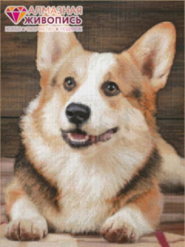 ���� �������. �������� �������: ������� �� 165� ������� �� 132�. ������� ��������, ������������ ������ 07/20