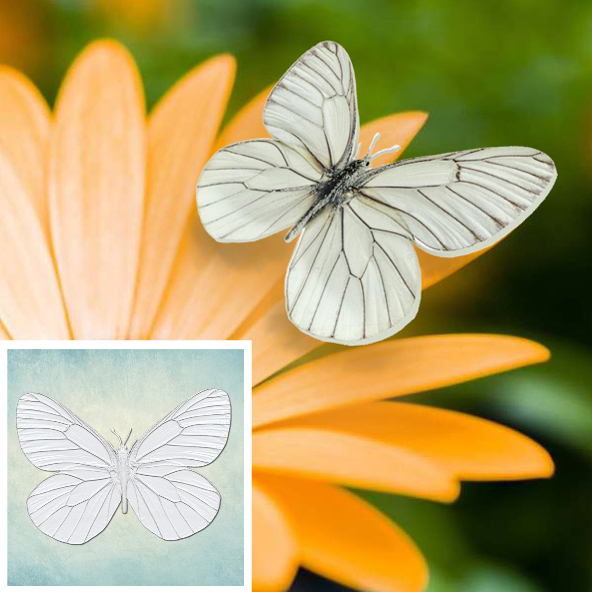 ���� "������� 2" (S) ARTMD1201