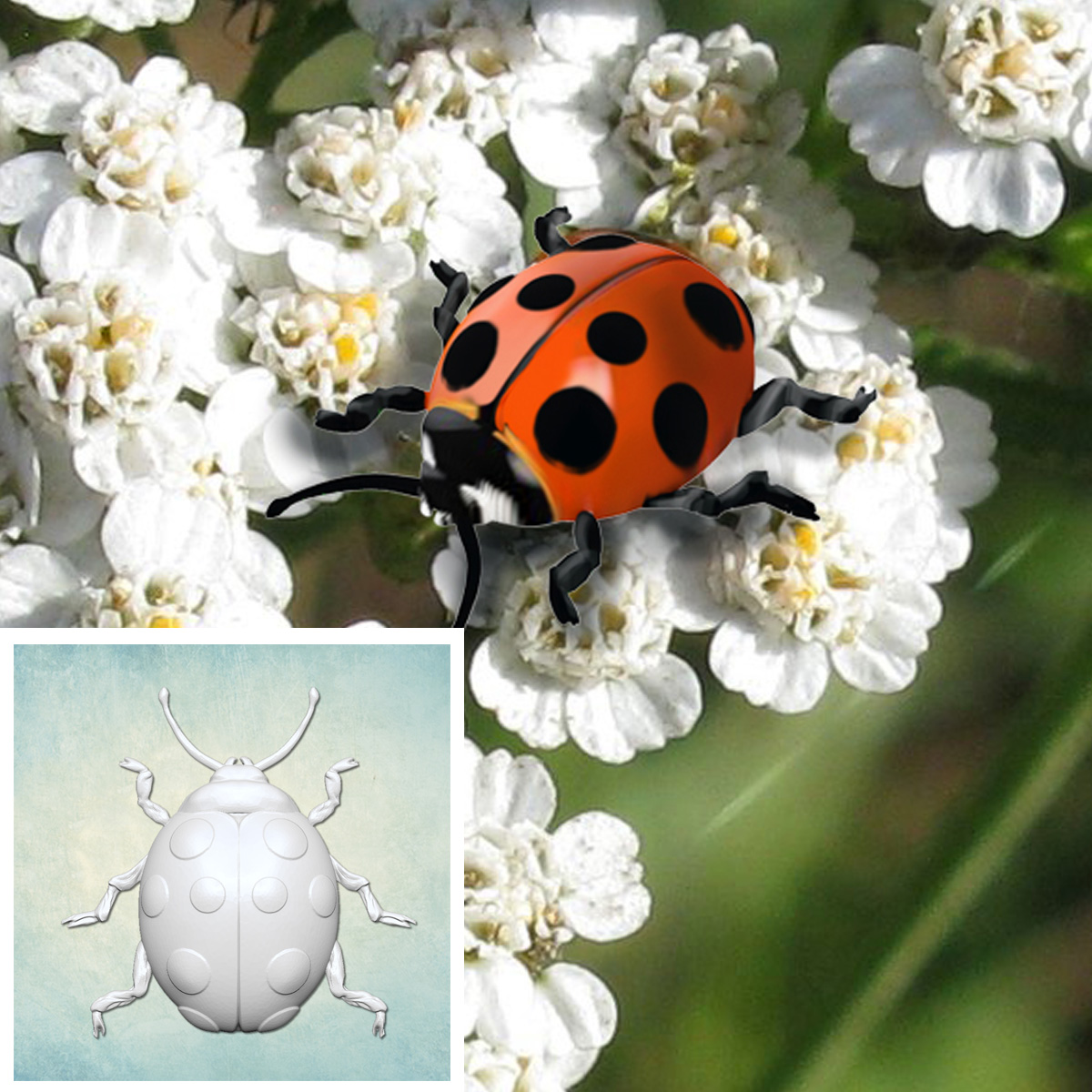 ���� "��� 3" (XS) ARTMD1181