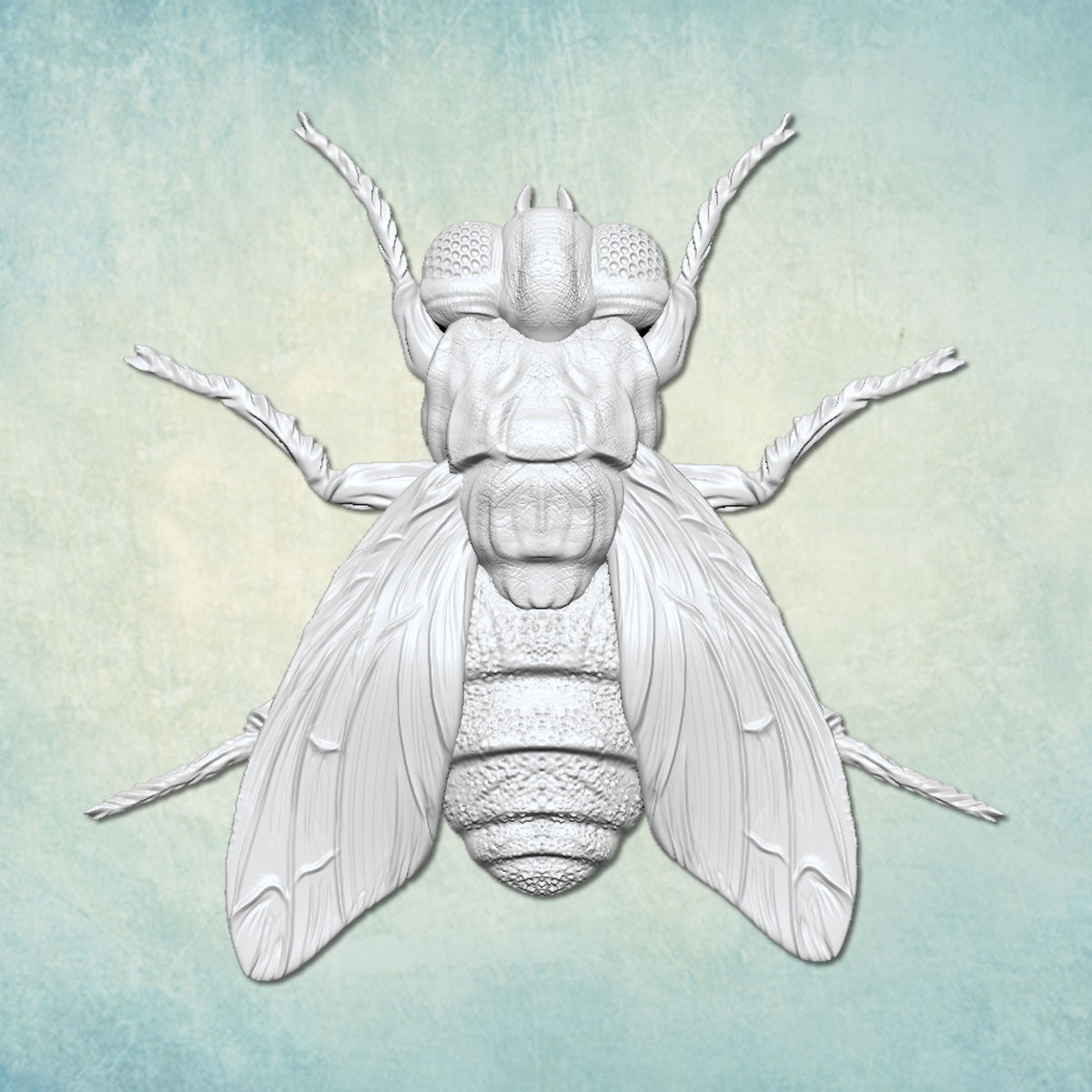 ���� "����" (S) ARTMD1189