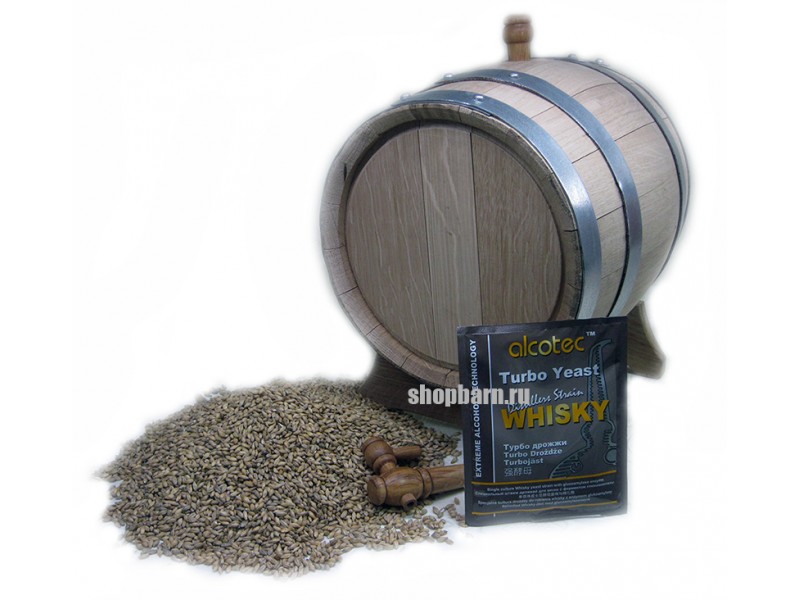 ���� �������. ��� ��� ��������� ���������,����������� � ��������������� - 11.