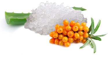 ���� ������� �� 14 ����. ��������� � ���������� �������� ���� H&B. ����� ����� �������� ��������� ��� � �������! ����� -65 