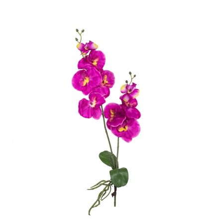 �������� �������!