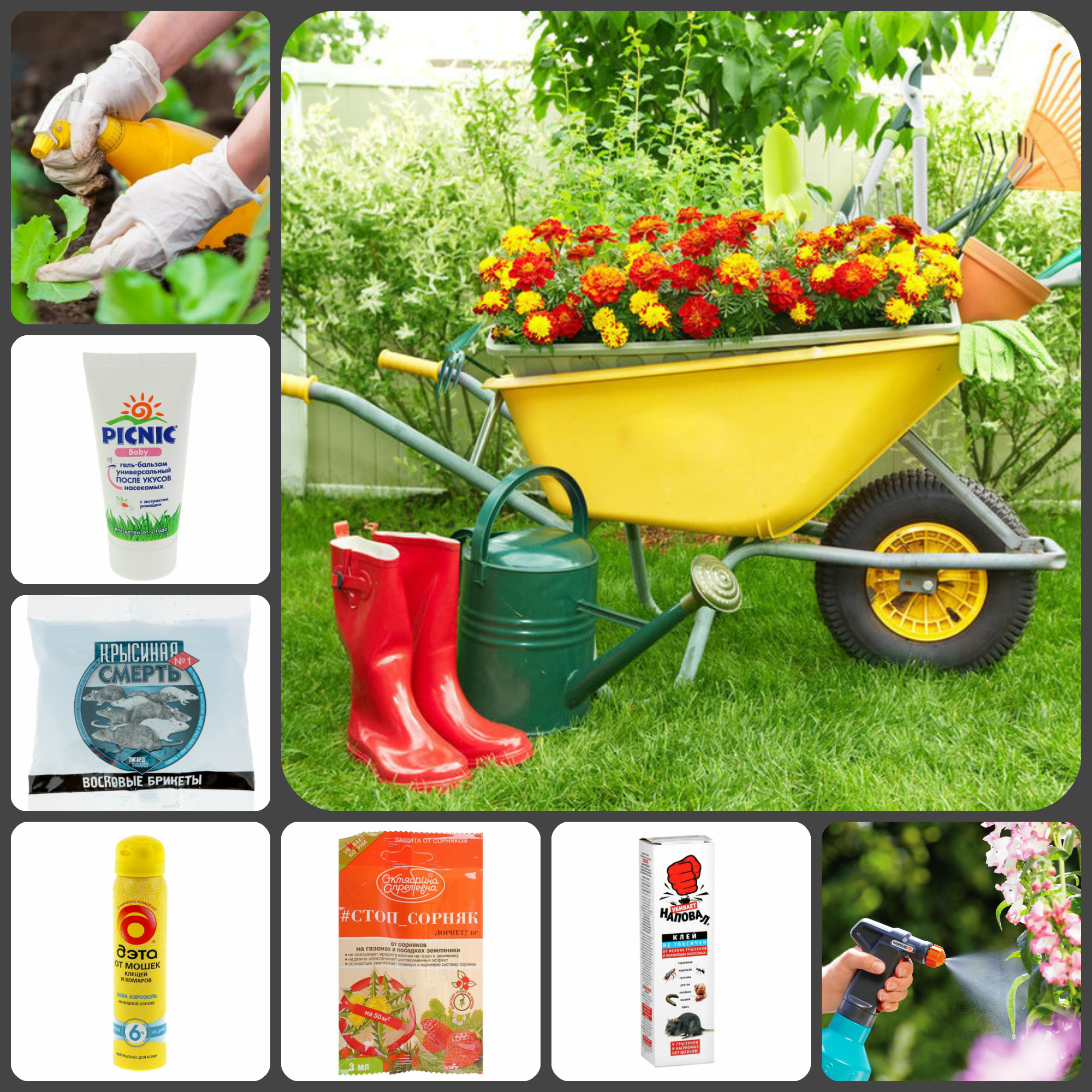 ���� ������� �� 17.06. ������� ��������.��� � ����� �����! ������, ���������, ���������. ����� ��� ���� �������.�������� �� ��������� � ��������-2