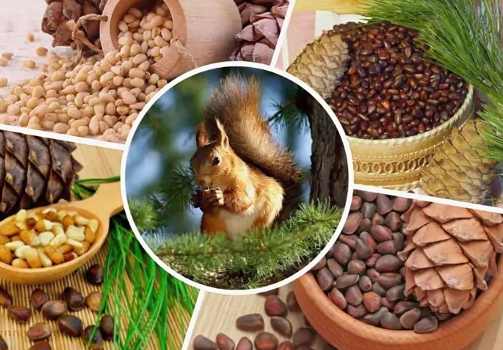 �������� ��������!!! �������, �������, � ������� �������� �������� ������ (��������� ��������.) ����� ������ ���� �� ��!!! (����� 1200� �� ��) ������� �������� �����-����� � ��� ��� �����!, �������� �����, ������� ��� � ��������, �������� �����, �������