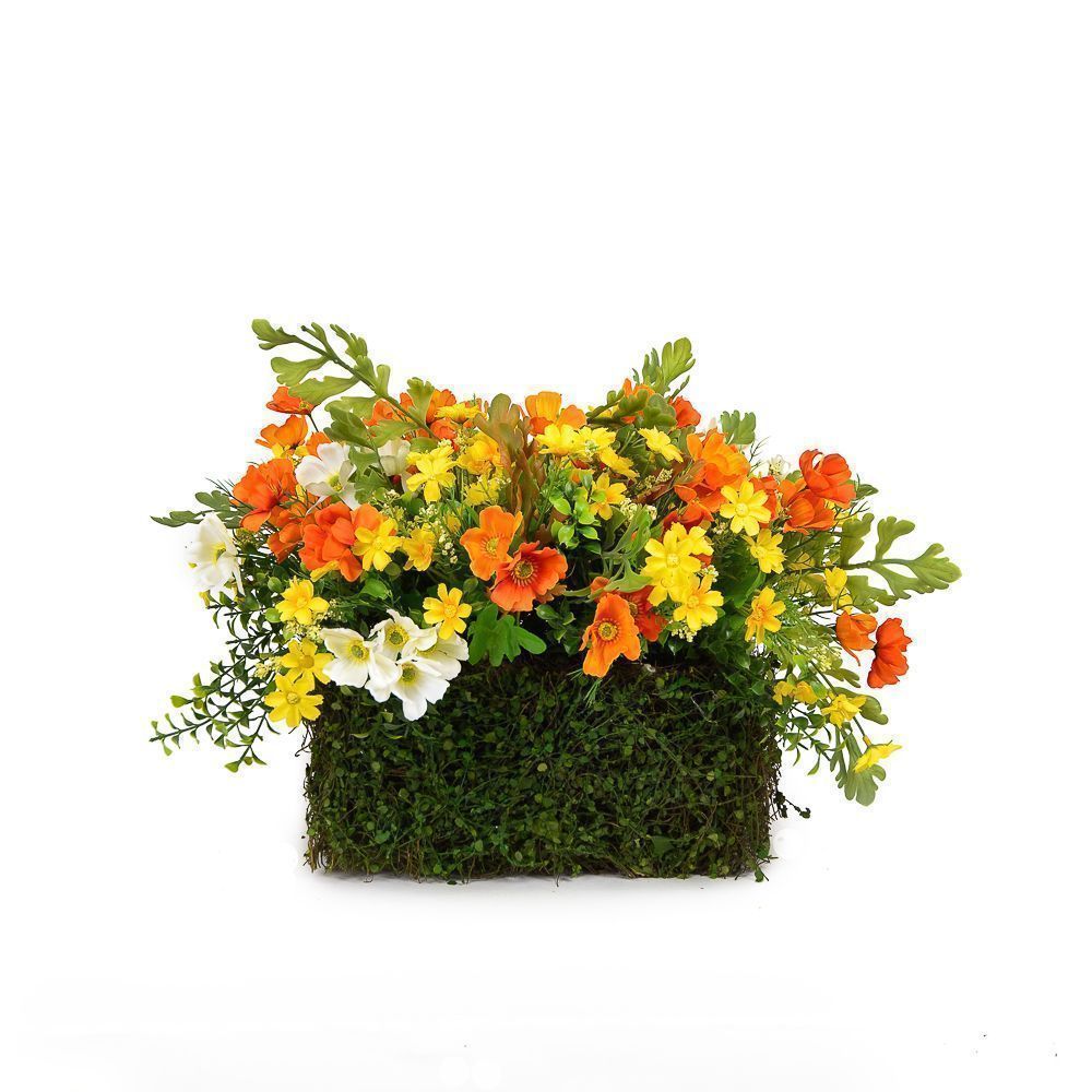 ������� ����