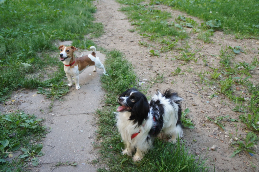 ������ � ������ 15���� 20 ���