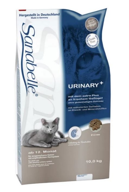 ���� ������� ������ ��� ����� �� ���� �����������. 