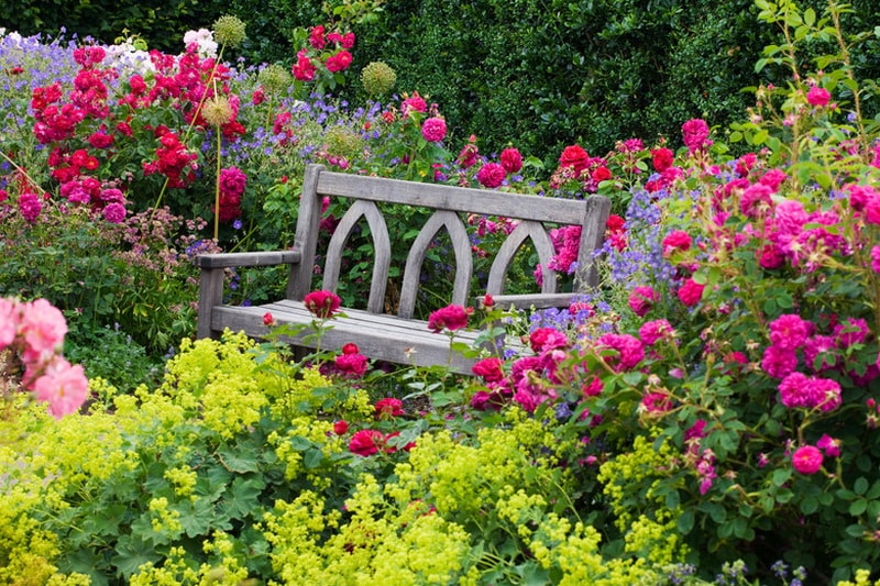 ���� �������. 29.06 ������ ��������! �����, ������������, ����������, ����������, ��������! ����������� ��������!