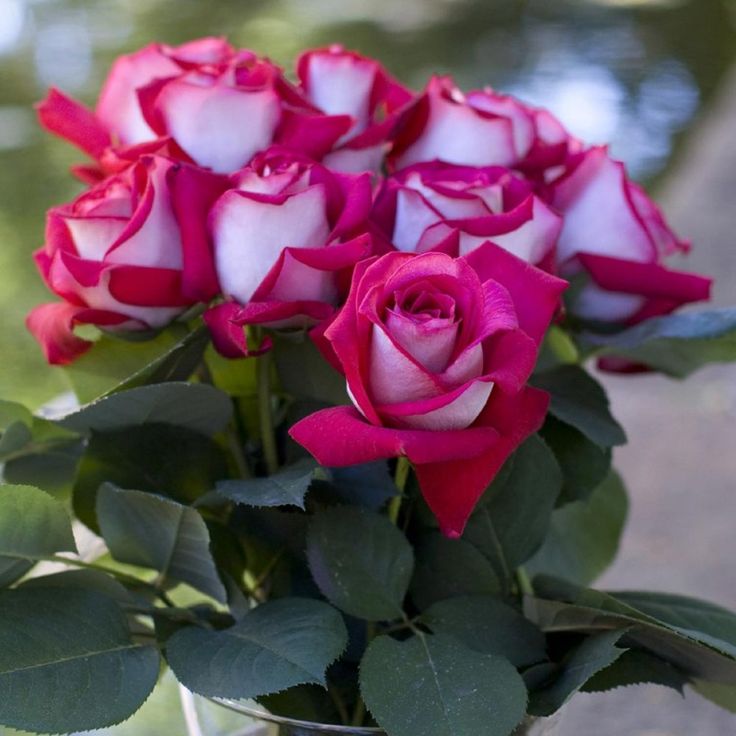 ��������� �� ����� 2021�. ������������� ����. ����� ����� ������� �������. �� ������ ����� ���-�� 10��-15��