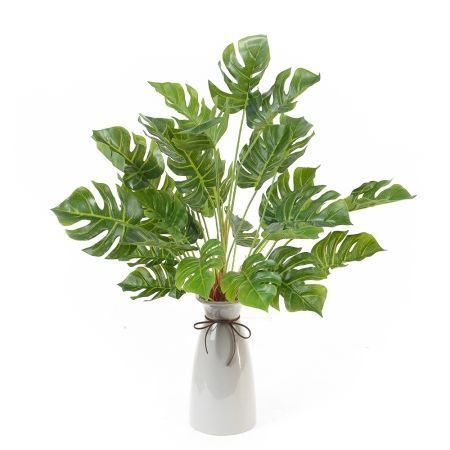 ���� ����, ����� ������������, ���������� ��������� :)