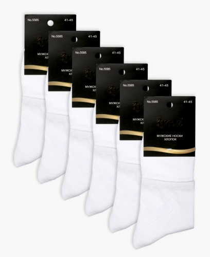 ����� ZYV 5585 (6 ���)  ����: 175 �  