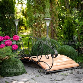 ���� �������. ��� �������� ������. ����, �������, ������ ����� � ������ ������