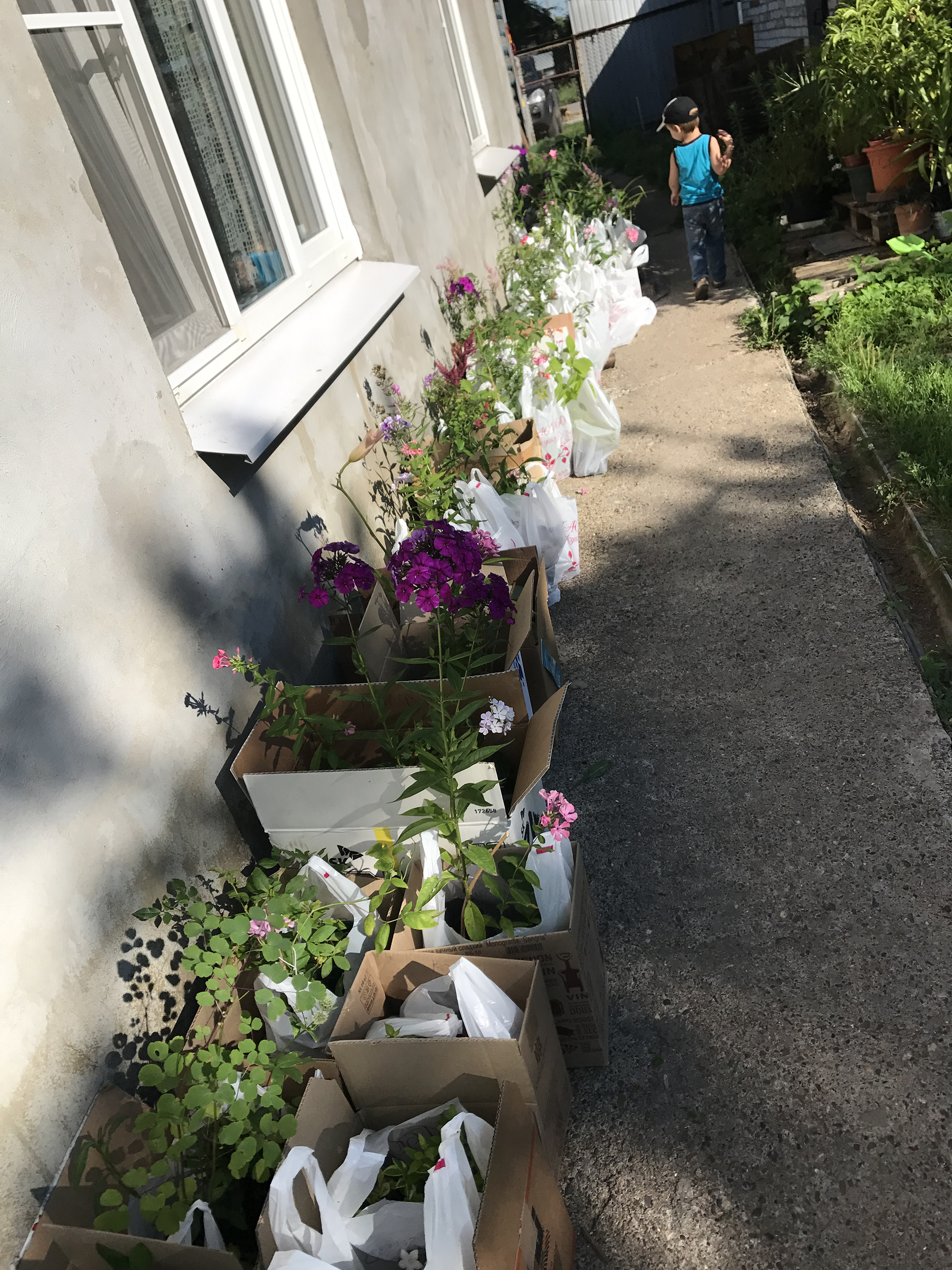 ����� ����! �� ����� �������� 4 ���. ����� ����� ���������! ������������ �������� ��� ��������� ������ ���� �� �������� ��������� ������������� ������� Savgarden