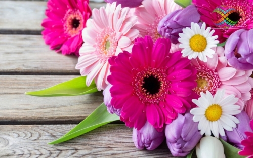 �������� ������� - ����� �������!