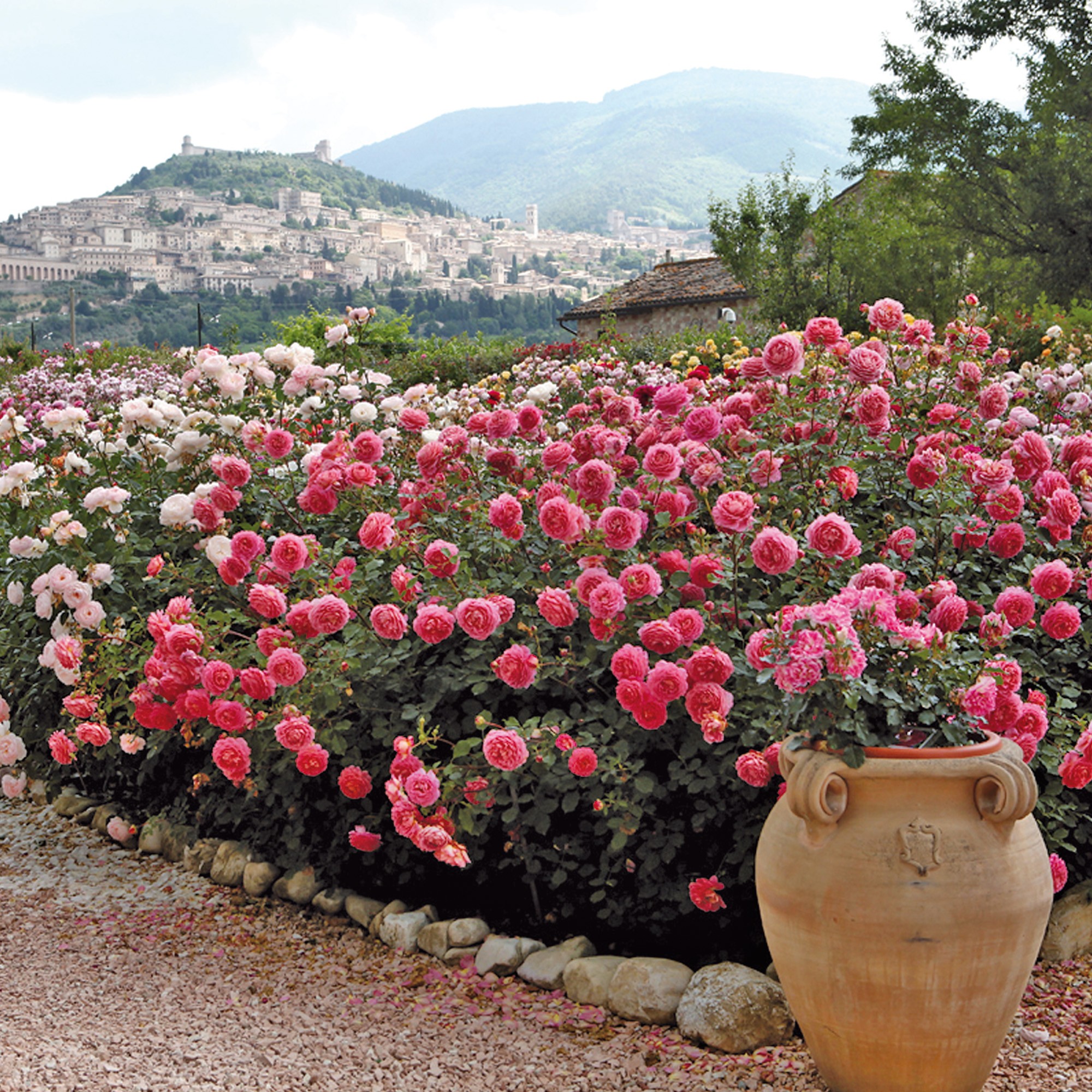 ���������� ���� ������ ������ - ����������������� ������� � ������������ ������������! ������ ������������ ����! ��������� �� ����� 2021�!