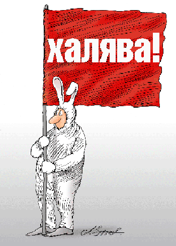 ������ ����! ��������� � �������!