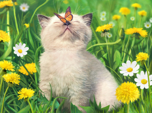 ����� ���������� �������! �������� ������ ������ ������! �� ������� - �������� ������� ������ ��� �����!