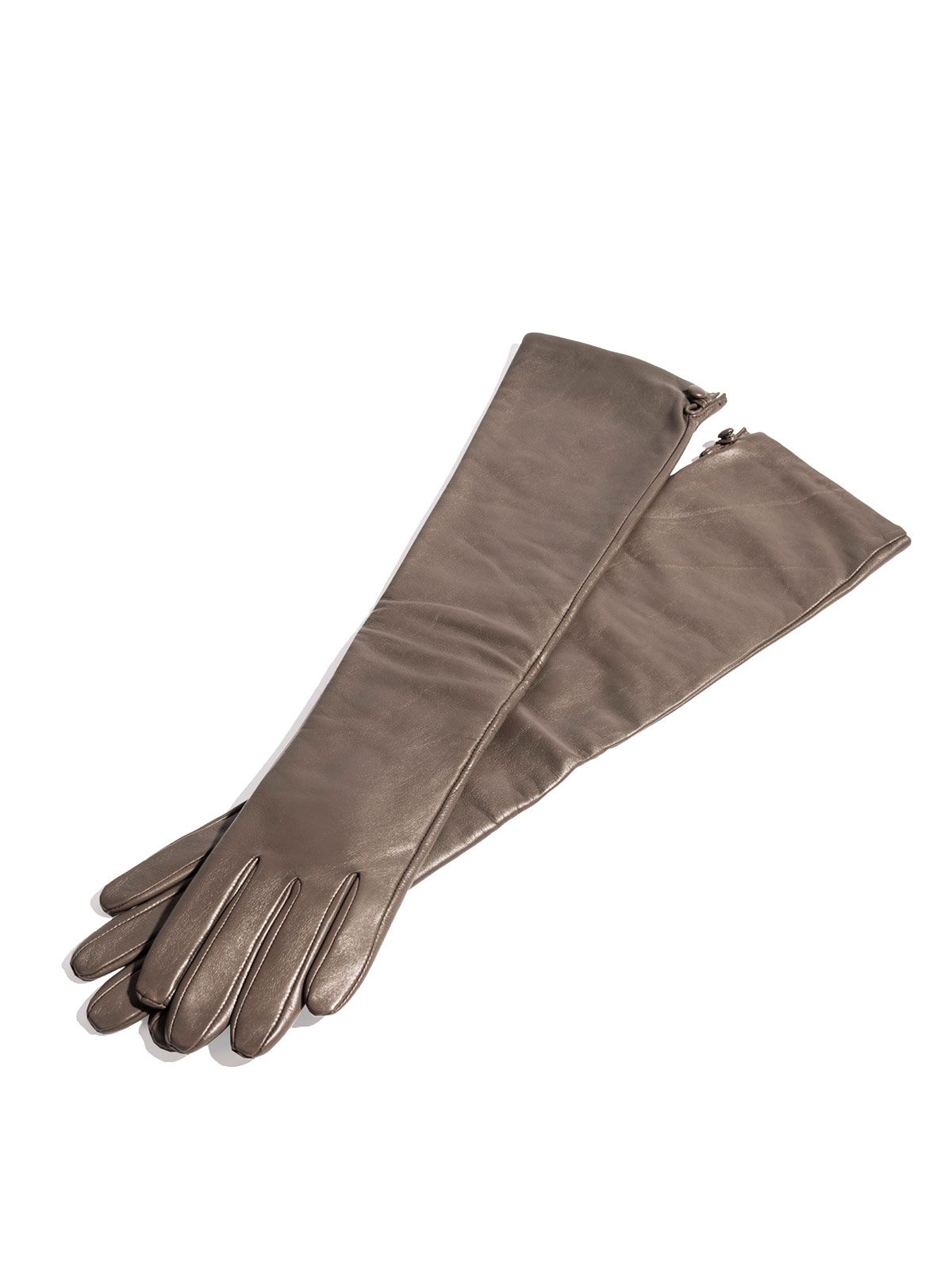 ������� �������� ����������� ���� ����������