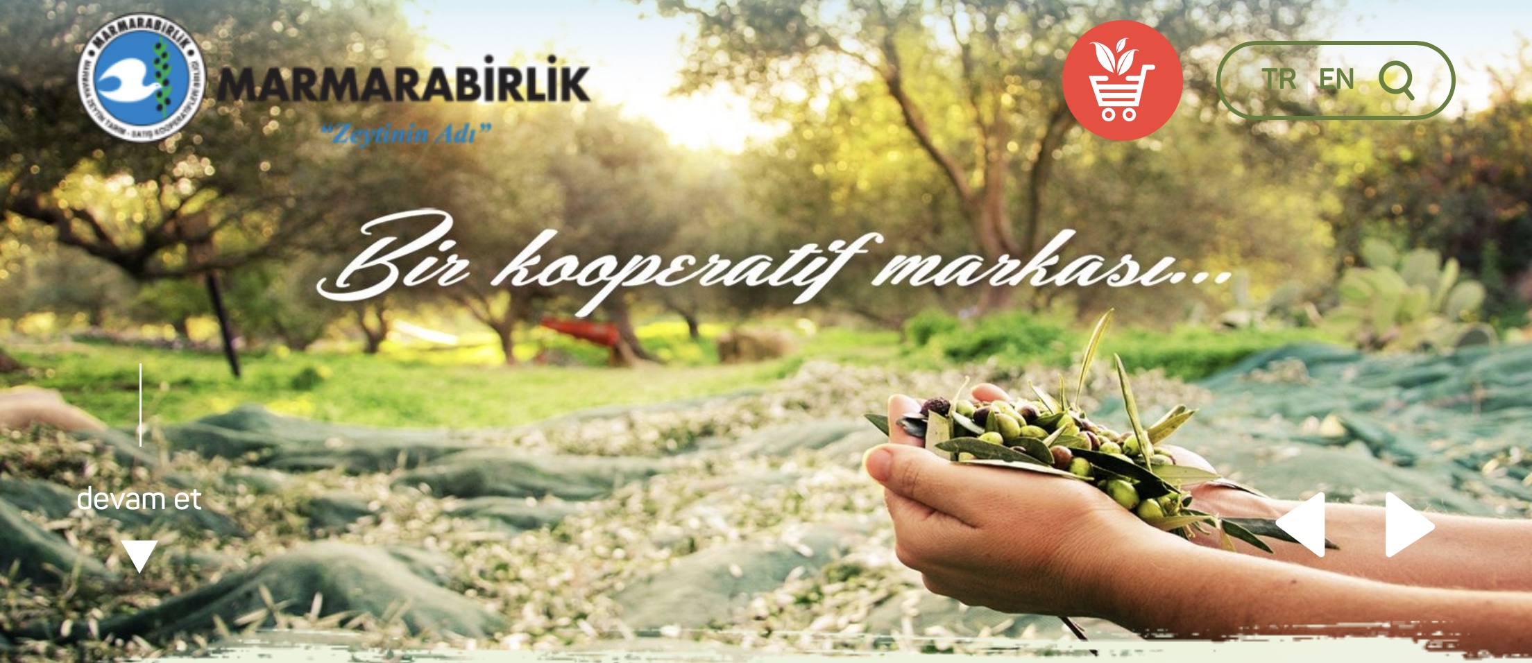 �������� �������� �������. ������������� ����