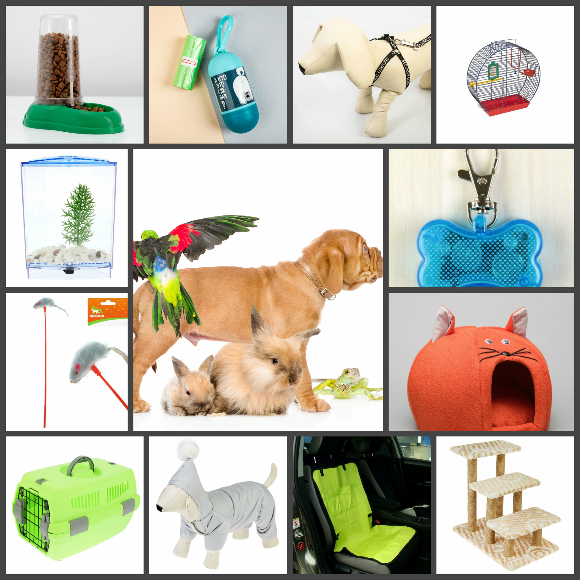 ���� �� 01.07.����-����:� ������� � ������� ��������- ��������� (������ ��� �����/�����/����/��������.�������)